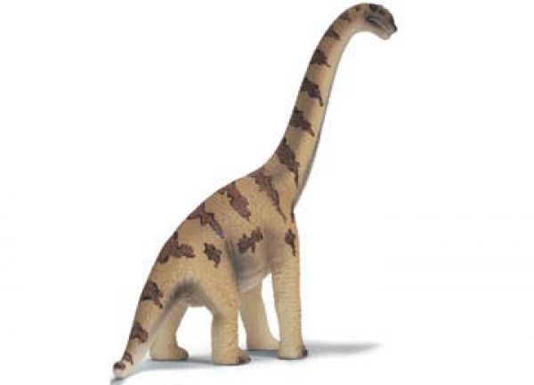 Brachiosaurus