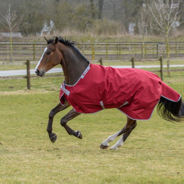 Bucas Irish Turnout light ruby 50g Gr. 135