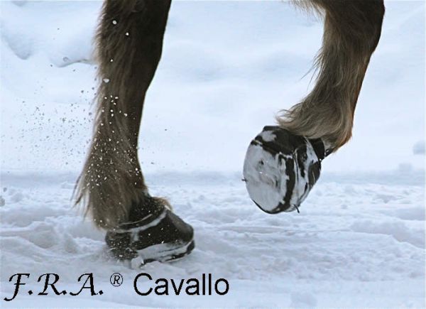 12 Stollen für Cavallo Hufschuhe